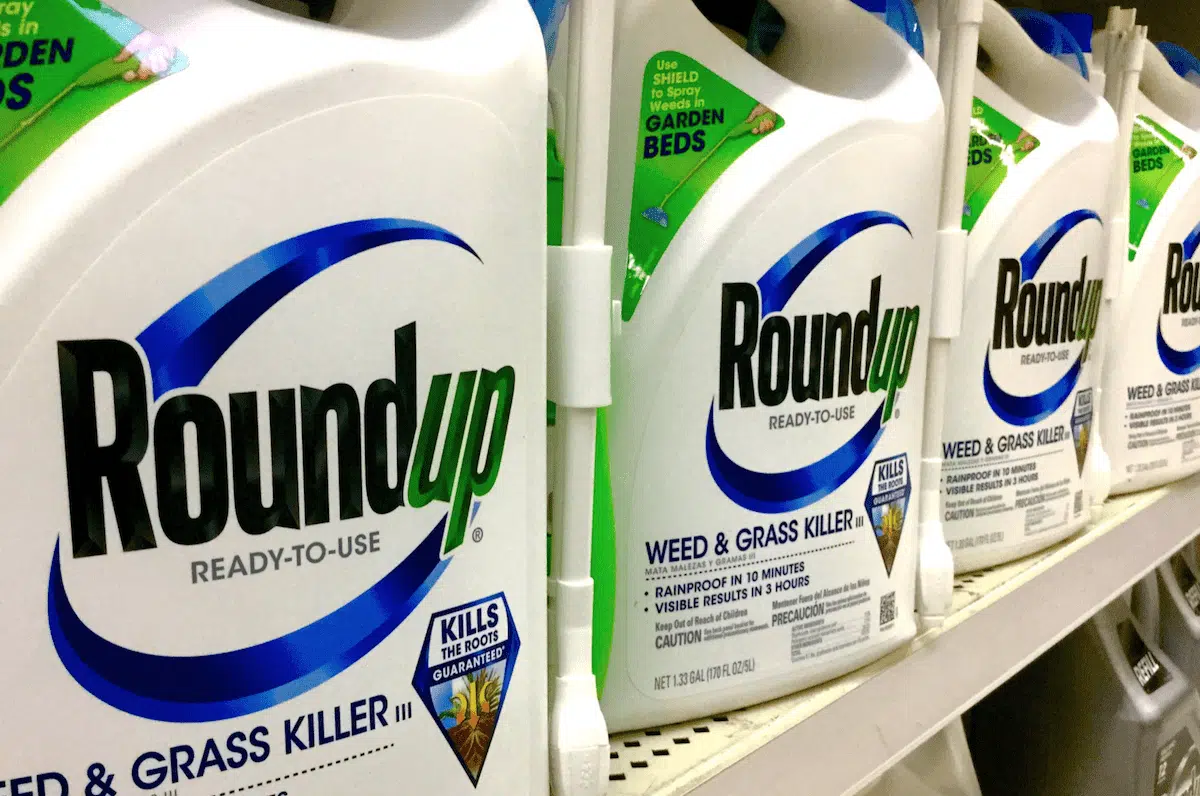 What Roundup Attorneys Say About Holding Monsanto Accountable